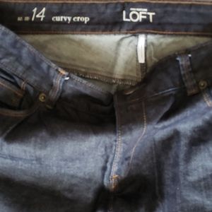 Women's Curvy Jeans - Size 14 Ann Taylor Loft